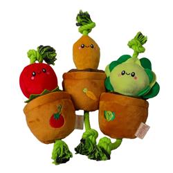 Extra Product Image